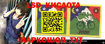 стаф Краснодар