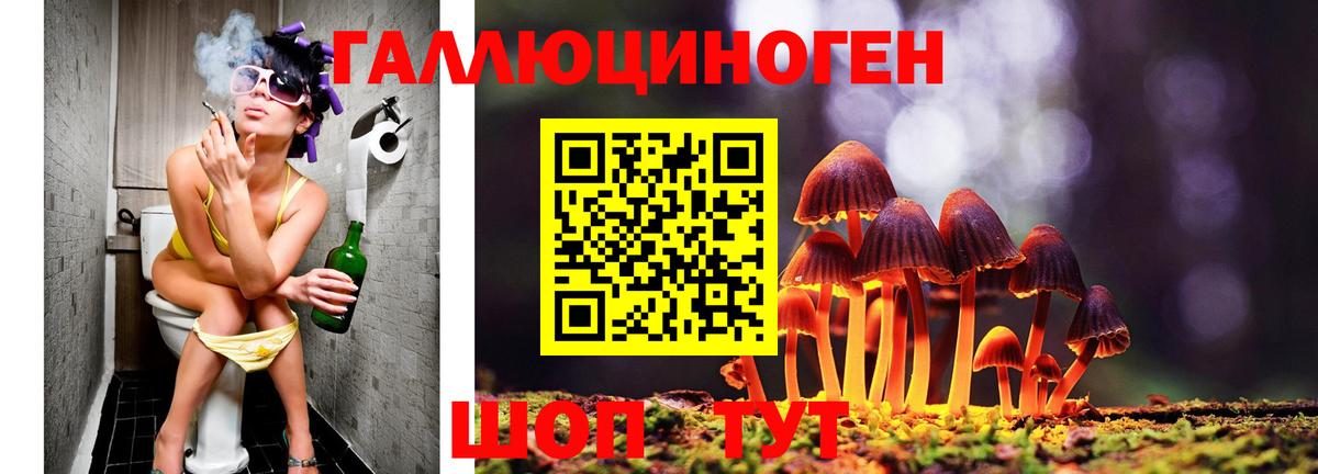 Псилоцибиновые грибы мухоморы Кольчугино