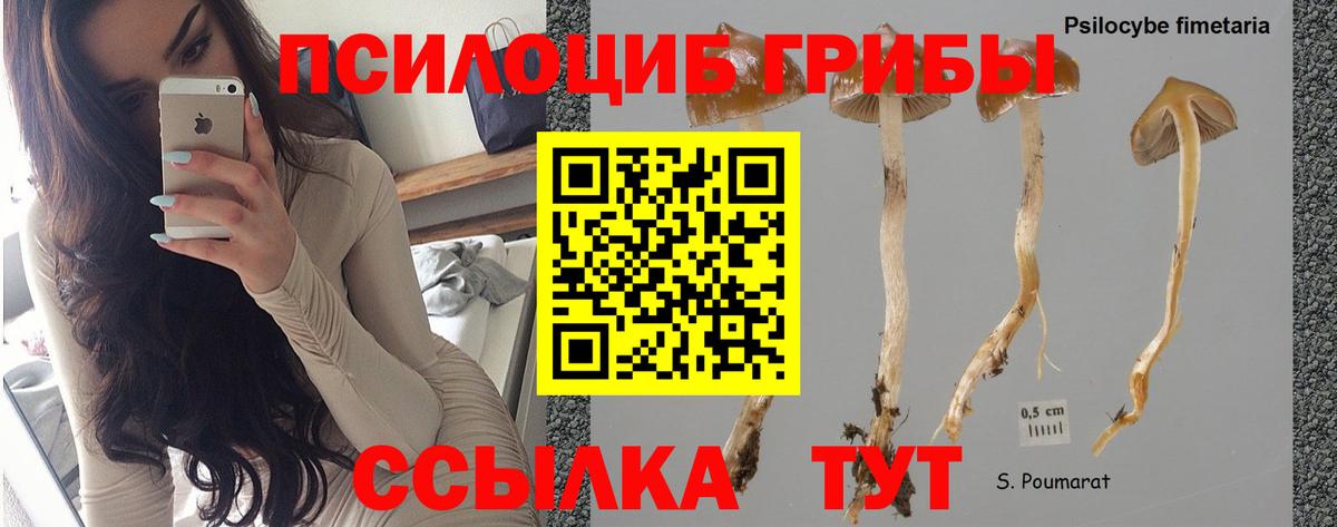 Кольчугино  Галлюциногенные грибы Cubensis  Вход с VPN  Галлюциногенные грибы мухоморы 